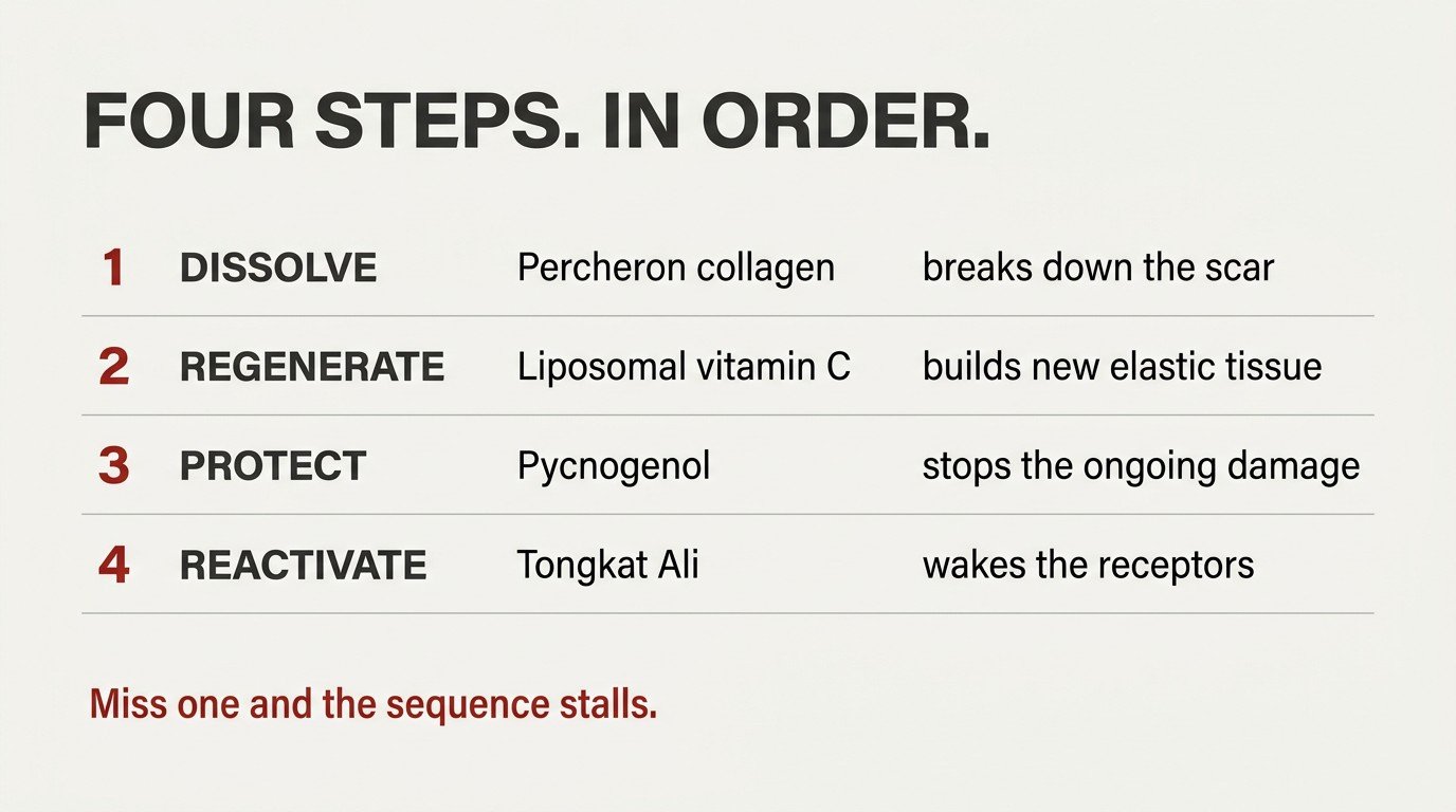 Four-step protocol infographic